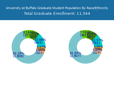 University at Buffalo 2025 Graduate Enrollment by Gender and Race chart