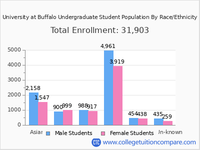 University at Buffalo 2025 Undergraduate Enrollment by Gender and Race chart