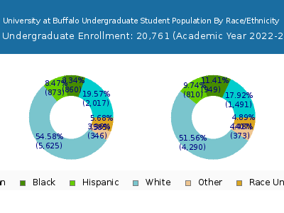 University at Buffalo 2023 Undergraduate Enrollment by Gender and Race chart
