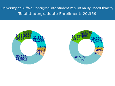University at Buffalo 2025 Undergraduate Enrollment by Gender and Race chart