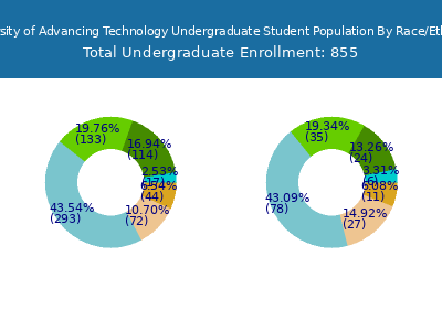 University of Advancing Technology 2025 Undergraduate Enrollment by Gender and Race chart