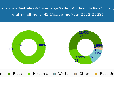 University of Aesthetics & Cosmetology 2023 Student Population by Gender and Race chart