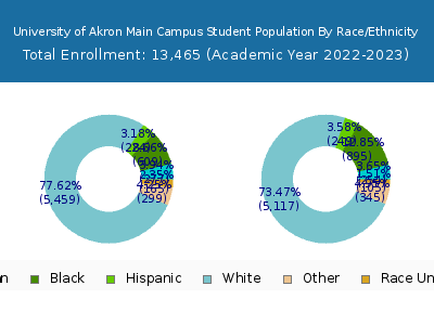 University of Akron Main Campus 2023 Student Population by Gender and Race chart