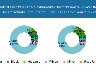 University of Akron Main Campus 2023 Undergraduate Enrollment by Gender and Race chart