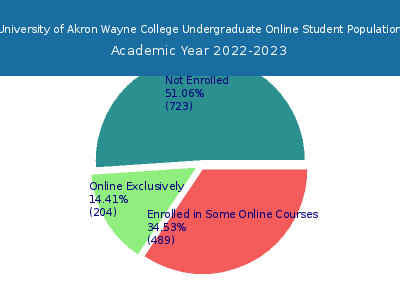 University of Akron Wayne College 2023 Online Student Population chart