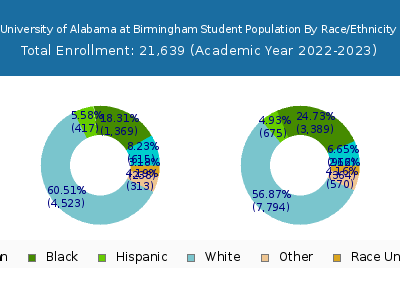 University of Alabama at Birmingham 2023 Student Population by Gender and Race chart