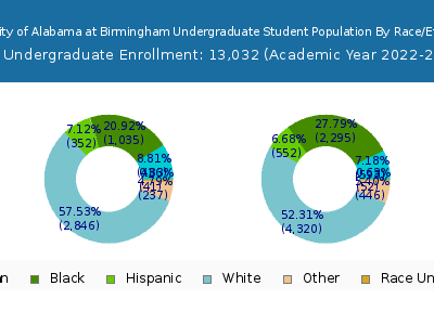 University of Alabama at Birmingham 2023 Undergraduate Enrollment by Gender and Race chart