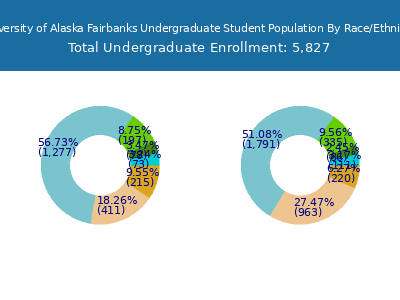University of Alaska Fairbanks 2025 Undergraduate Enrollment by Gender and Race chart
