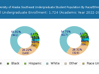 University of Alaska Southeast 2023 Undergraduate Enrollment by Gender and Race chart