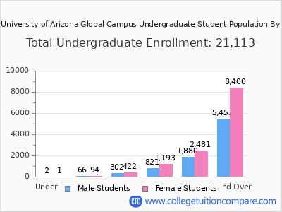 The University of Arizona Global Campus 2025 Undergraduate Enrollment by Age chart
