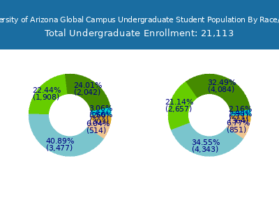 The University of Arizona Global Campus 2025 Undergraduate Enrollment by Gender and Race chart