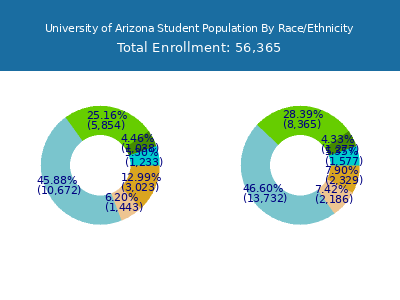 University of Arizona 2025 Student Population by Gender and Race chart