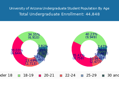 University of Arizona 2025 Undergraduate Enrollment Age Diversity Pie chart