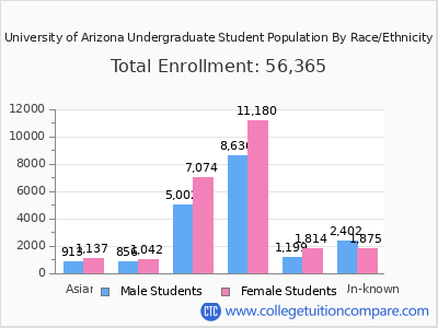 University of Arizona 2025 Undergraduate Enrollment by Gender and Race chart