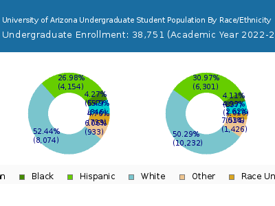 University of Arizona 2023 Undergraduate Enrollment by Gender and Race chart