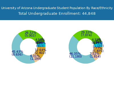 University of Arizona 2025 Undergraduate Enrollment by Gender and Race chart