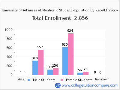 University of Arkansas at Monticello 2025 Student Population by Gender and Race chart