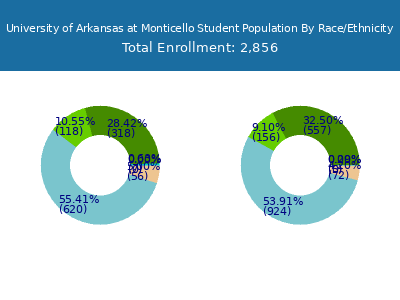 University of Arkansas at Monticello 2025 Student Population by Gender and Race chart