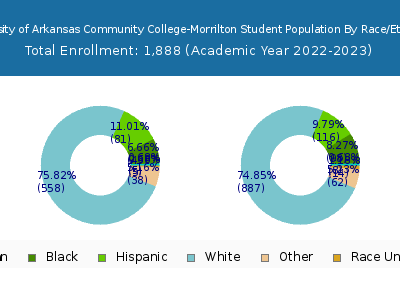 University of Arkansas Community College-Morrilton 2023 Student Population by Gender and Race chart