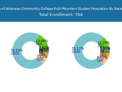 University of Arkansas Community College Rich Mountain 2025 Student Population by Gender and Race chart