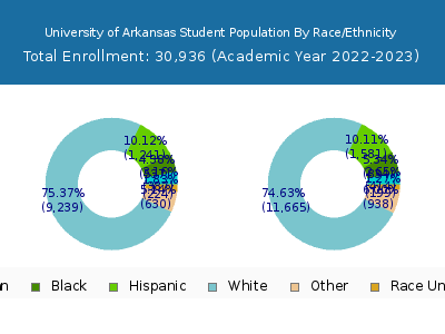University of Arkansas 2023 Student Population by Gender and Race chart