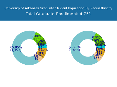 University of Arkansas 2025 Graduate Enrollment by Gender and Race chart