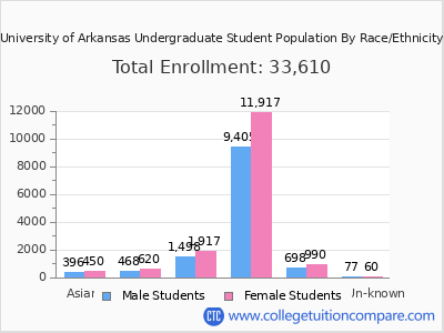 University of Arkansas 2025 Undergraduate Enrollment by Gender and Race chart