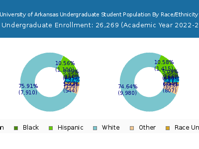 University of Arkansas 2023 Undergraduate Enrollment by Gender and Race chart