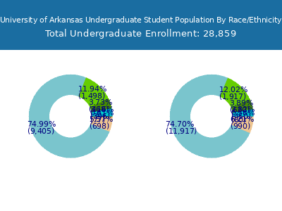 University of Arkansas 2025 Undergraduate Enrollment by Gender and Race chart