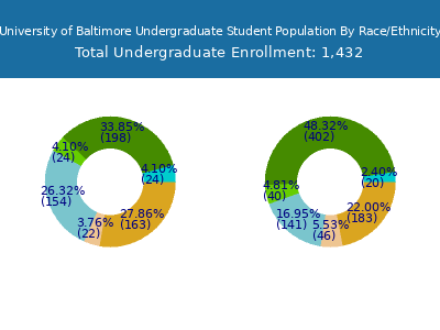 University of Baltimore 2025 Undergraduate Enrollment by Gender and Race chart