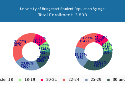University of Bridgeport 2025 Student Population Age Diversity Pie chart