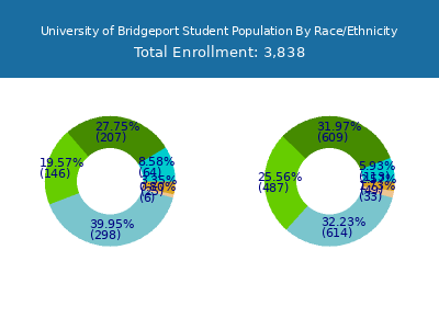 University of Bridgeport 2025 Student Population by Gender and Race chart