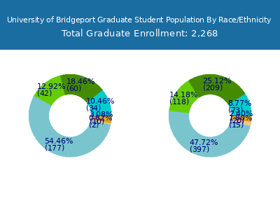 University of Bridgeport 2025 Graduate Enrollment by Gender and Race chart