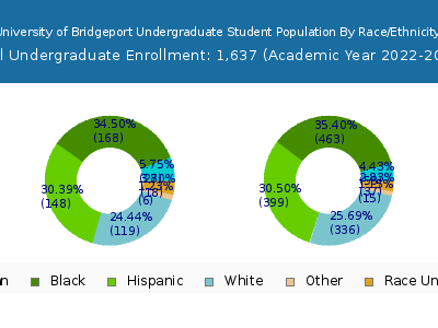 University of Bridgeport 2023 Undergraduate Enrollment by Gender and Race chart