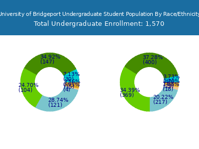 University of Bridgeport 2025 Undergraduate Enrollment by Gender and Race chart