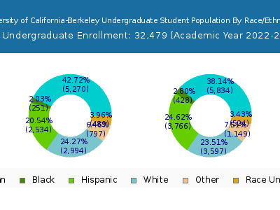 University of California-Berkeley 2023 Undergraduate Enrollment by Gender and Race chart