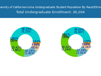 University of California-Irvine 2025 Undergraduate Enrollment by Gender and Race chart