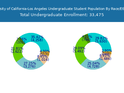University of California-Los Angeles 2025 Undergraduate Enrollment by Gender and Race chart