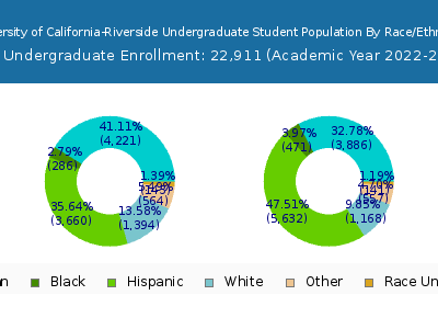 University of California-Riverside 2023 Undergraduate Enrollment by Gender and Race chart