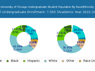 University of Chicago 2023 Undergraduate Enrollment by Gender and Race chart