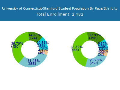 University of Connecticut-Stamford 2025 Student Population by Gender and Race chart
