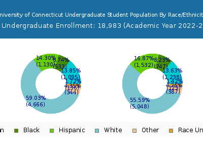 University of Connecticut 2023 Undergraduate Enrollment by Gender and Race chart