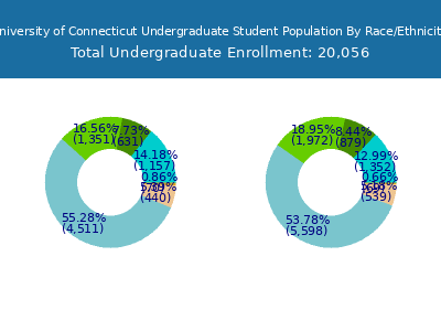 University of Connecticut 2025 Undergraduate Enrollment by Gender and Race chart