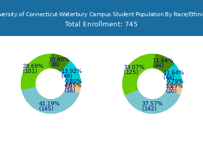 University of Connecticut-Waterbury Campus 2025 Student Population by Gender and Race chart
