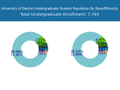 University of Dayton 2025 Undergraduate Enrollment by Gender and Race chart