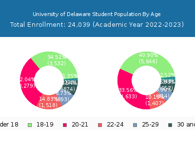 University of Delaware 2023 Student Population Age Diversity Pie chart