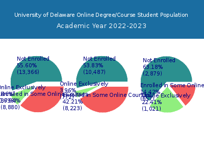 University of Delaware 2023 Online Student Population chart