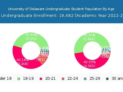 University of Delaware 2023 Undergraduate Enrollment Age Diversity Pie chart