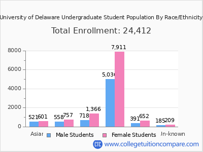University of Delaware 2025 Undergraduate Enrollment by Gender and Race chart