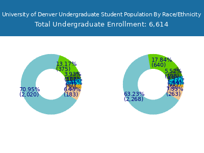 University of Denver 2025 Undergraduate Enrollment by Gender and Race chart